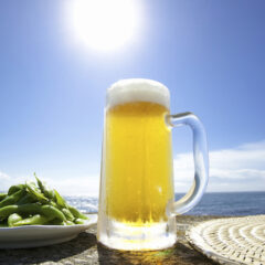 夏季限定　メニュー