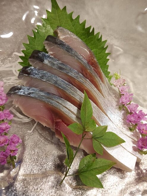 シメサバお造り