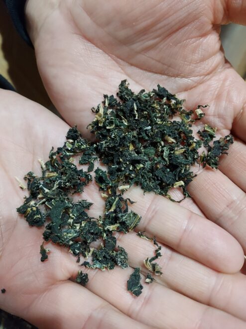 自家製乾燥大根葉