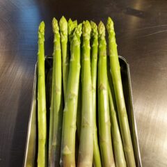 豊川産　北河さんのアスパラ