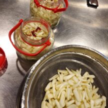 鳥取県産　らっきょう