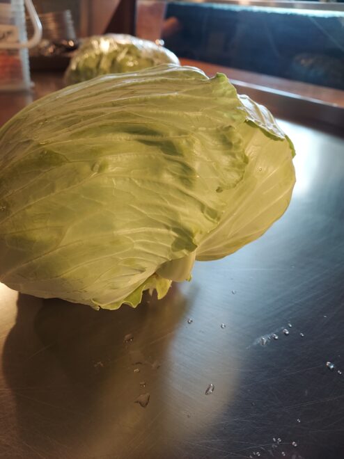 キャベツ