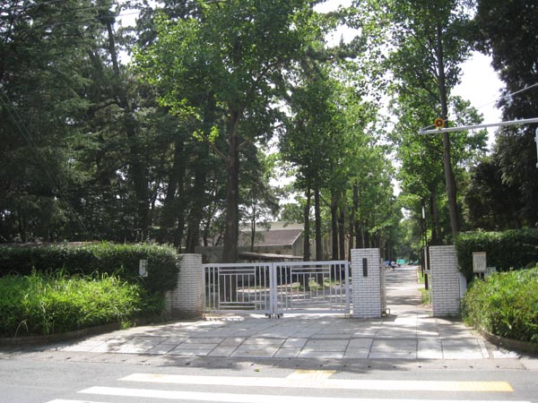 時習館高校 キッチンカー出店 とらのこ